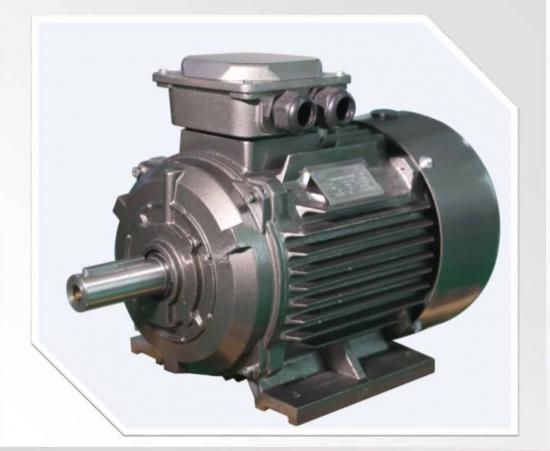 IE3/IE4  PM  Low Voltage Three-Phase Asynchronous AC Motors